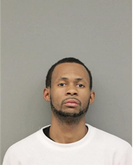 MICHAEL L LEWIS, Cook County, Illinois
