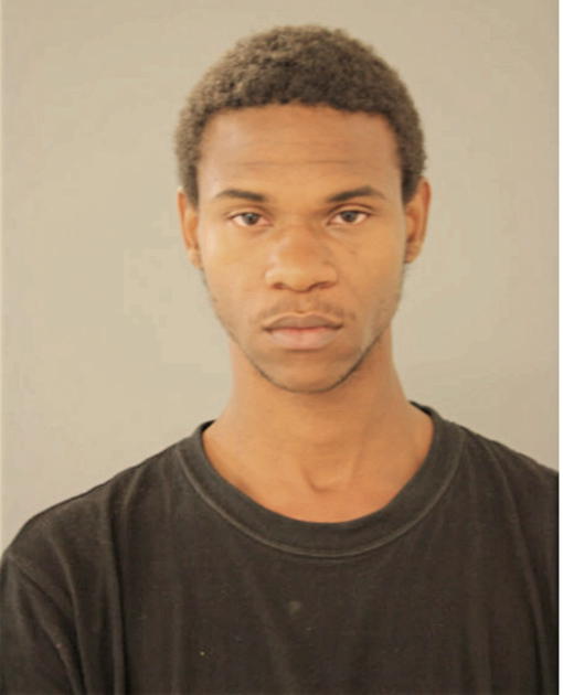 DAVID S LYONS, Cook County, Illinois
