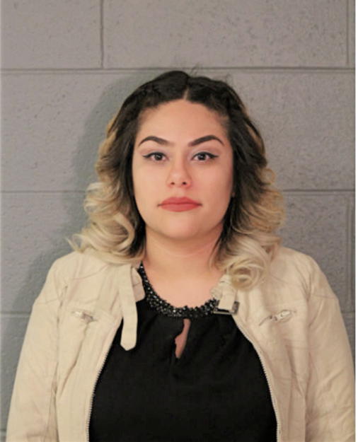 DANIA A NEVAREZ GALLEGOS, Cook County, Illinois