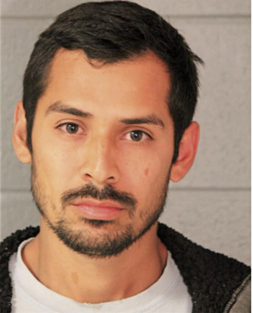 ISMAEL PINA-CHAVEZ, Cook County, Illinois