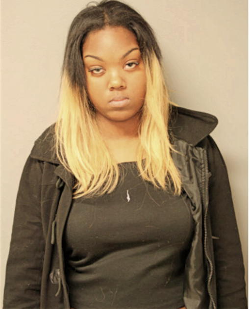 ADRIENNE A REDDICK, Cook County, Illinois