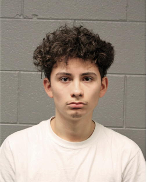 ADRIAN J RODRIGUEZ, Cook County, Illinois