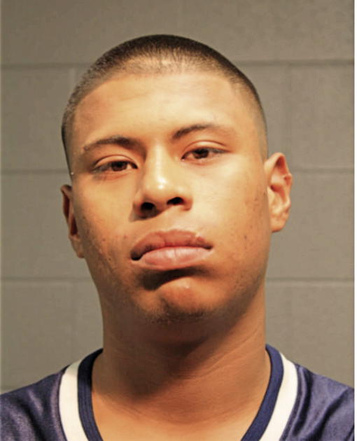 FERNANDO VARGAS ROJAS, Cook County, Illinois