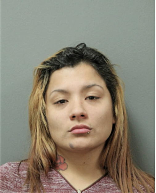 ANNETTE M SILVA, Cook County, Illinois