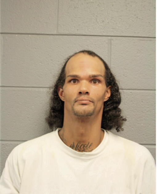 JOHN W WERNER, Cook County, Illinois