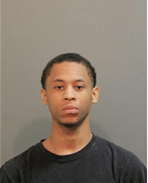 TIMOTHY M ANDREWS, Cook County, Illinois