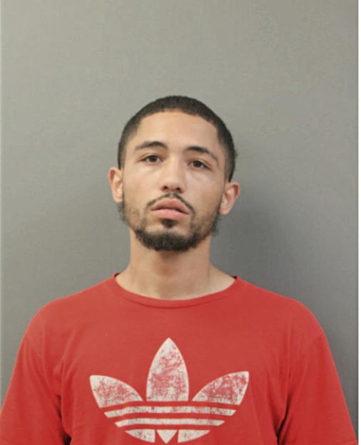 JAMES A BASS, Cook County, Illinois