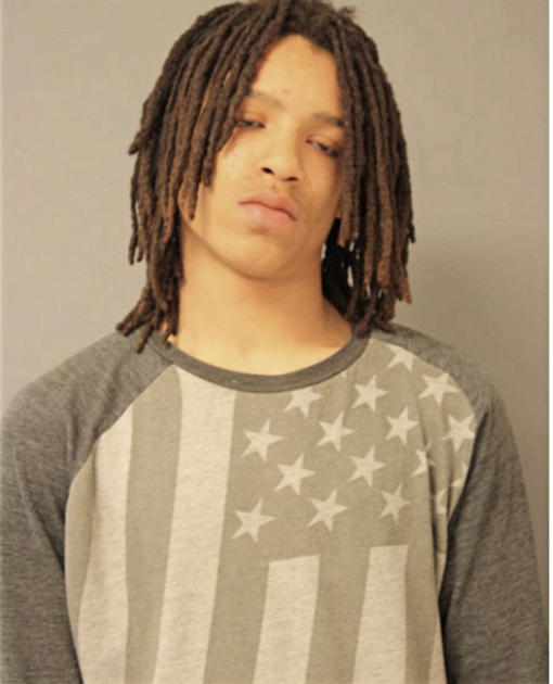 DAVON T BATTISTE, Cook County, Illinois