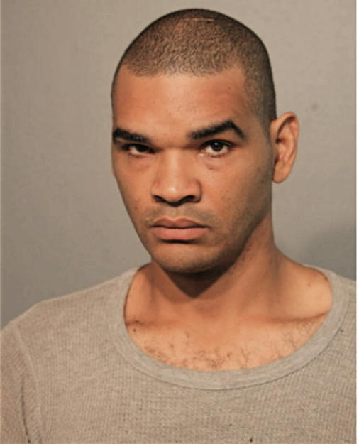 LEE CAIN, Cook County, Illinois