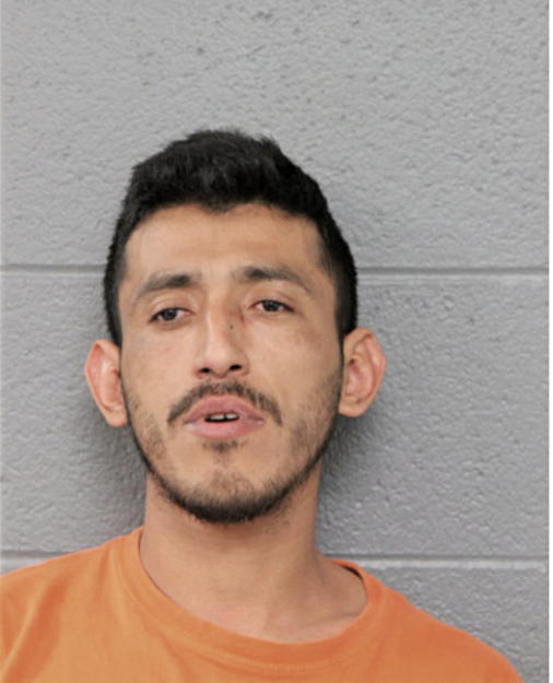 NARCISO I CAMARGO-MONDRAGON, Cook County, Illinois