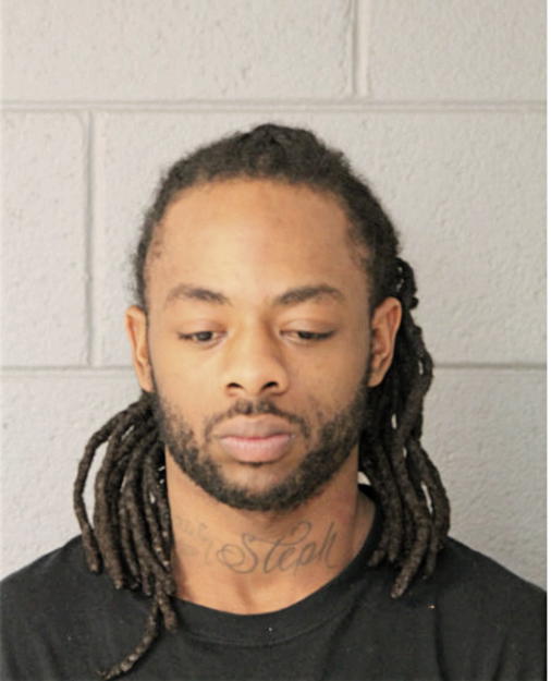 RYAN C COLLINS, Cook County, Illinois