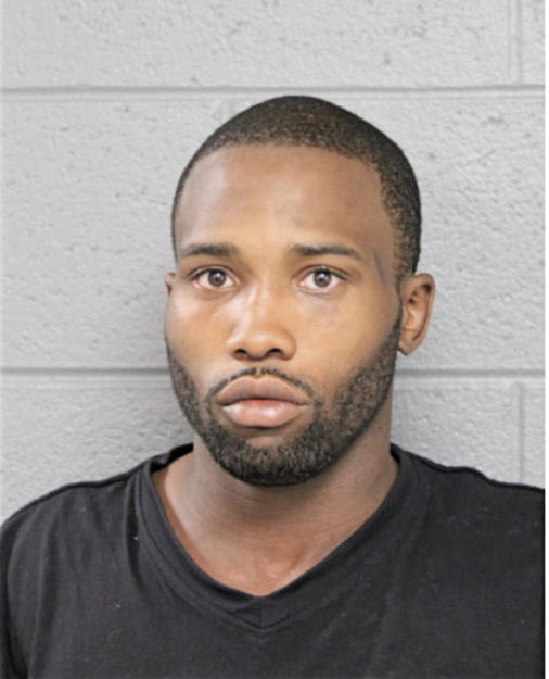 DENNIS D CHESTER, Cook County, Illinois
