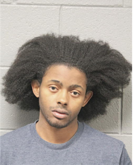 CLARENCE O DAVIS, Cook County, Illinois