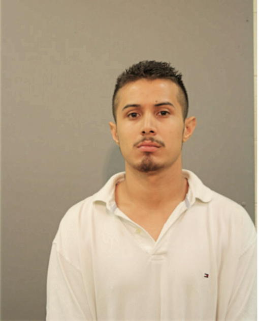 OMAR A DIAZ, Cook County, Illinois