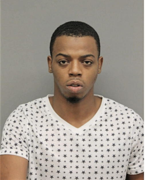 PRECIOUS L DINKINS, Cook County, Illinois