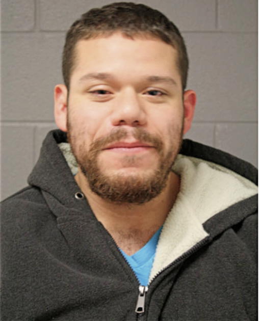 KRISTOPHER J ELLIS, Cook County, Illinois
