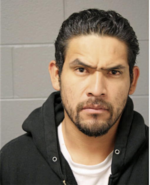 ANDERSON O HERNANDEZ, Cook County, Illinois