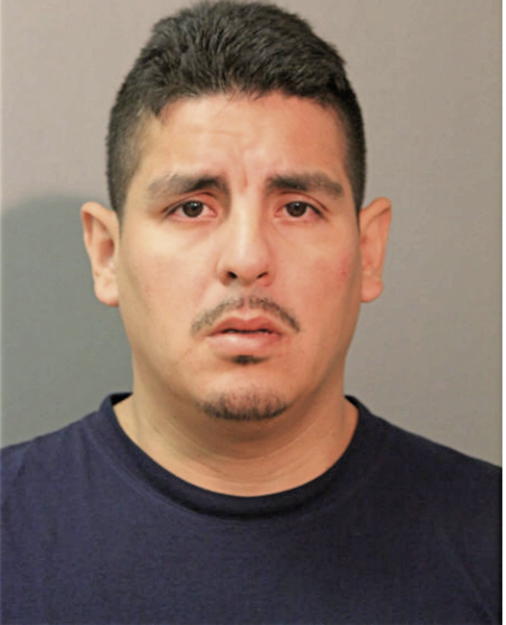 JOSE S HERNANDEZ, Cook County, Illinois