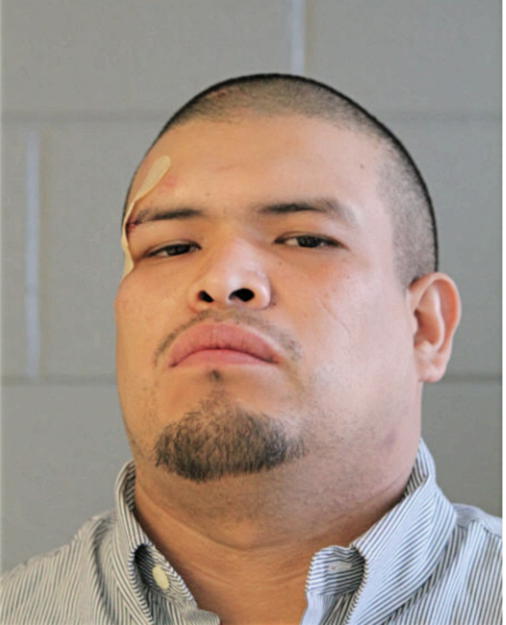 RAPHAEL R HERNANDEZ, Cook County, Illinois