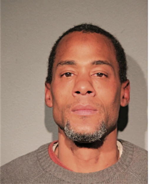 MICHAEL A JOHNSON, Cook County, Illinois