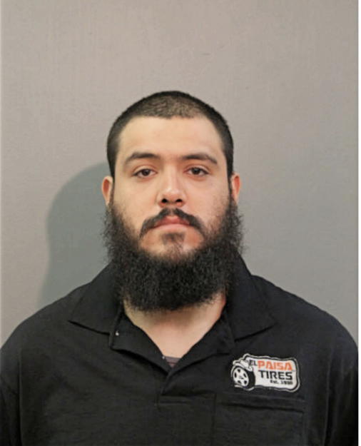 FRANCISCO J LIZAMA-PEREZ, Cook County, Illinois