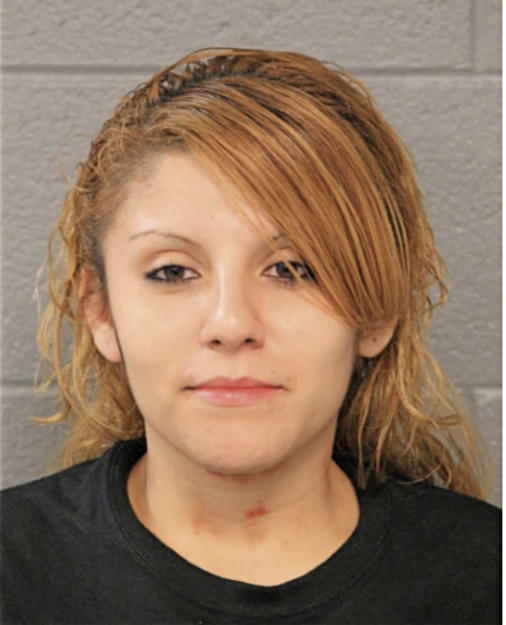 ADRIANA L MENDOZA-JIMENEZ, Cook County, Illinois