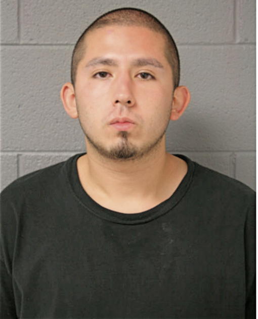 DECLAN M MOORE, Cook County, Illinois