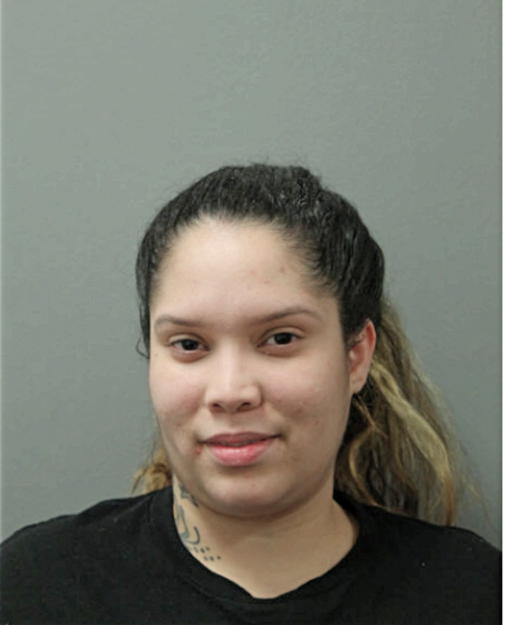 AMANDA M PADILLA, Cook County, Illinois