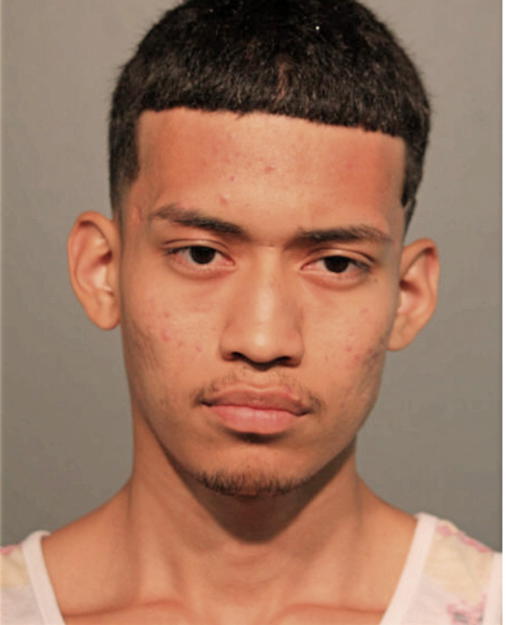 JOSE A PAGAN, Cook County, Illinois