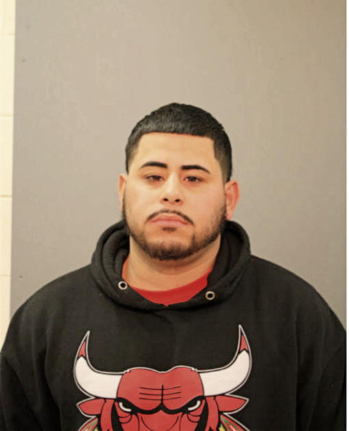 JOAR M REYES, Cook County, Illinois