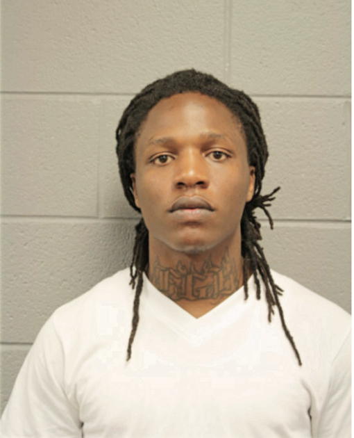 CHARLES E RICE, Cook County, Illinois