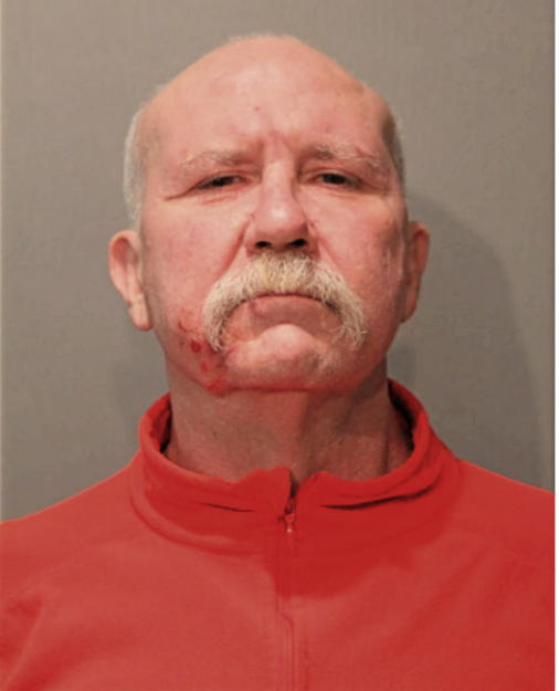 MICHAEL J RUDOWICZ, Cook County, Illinois