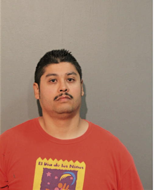 LUIS A SANCHEZ, Cook County, Illinois