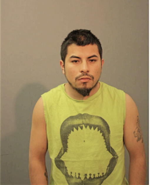 YONI ENRIQUE SANCHEZ, Cook County, Illinois
