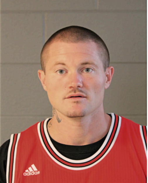 RYAN R STURMER, Cook County, Illinois