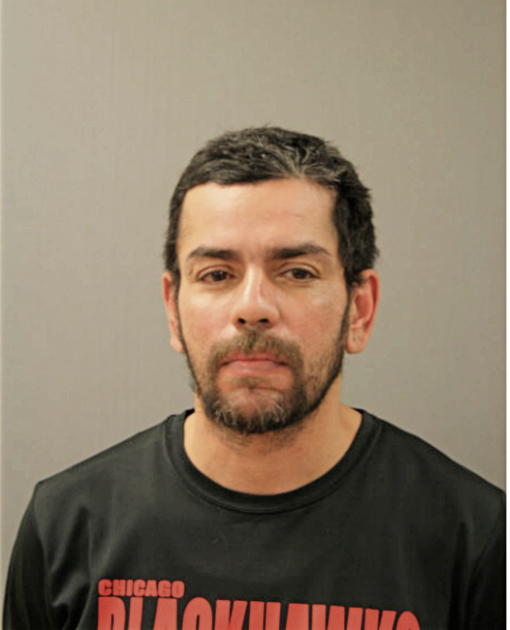 LUIS E TORRES, Cook County, Illinois