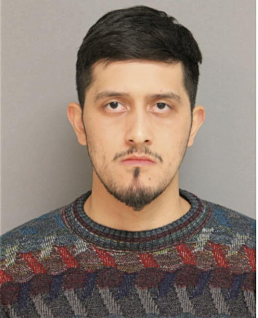MANUEL A ZEPEDA-AVILA, Cook County, Illinois