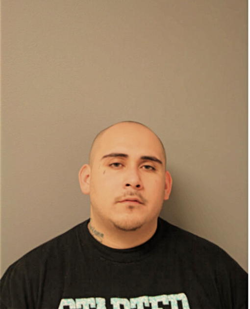 LUIS BERRARA, Cook County, Illinois