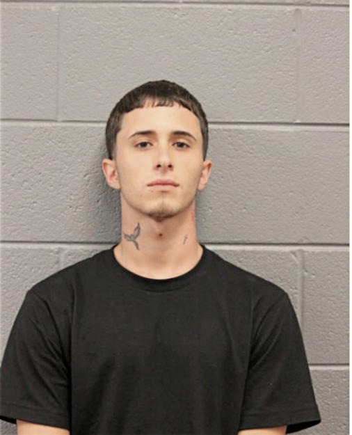 EDWARD R BORGES, Cook County, Illinois