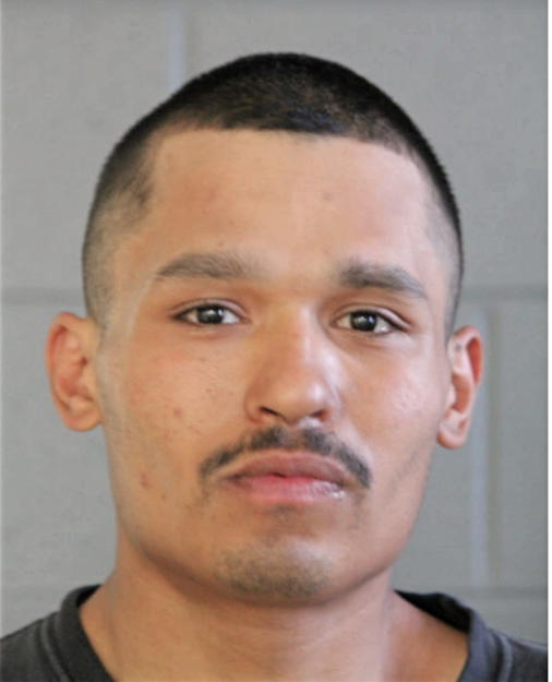 DAVID C CALVILLO, Cook County, Illinois