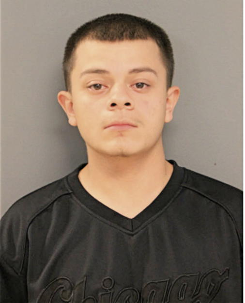 CRISTIAN DIAZ, Cook County, Illinois