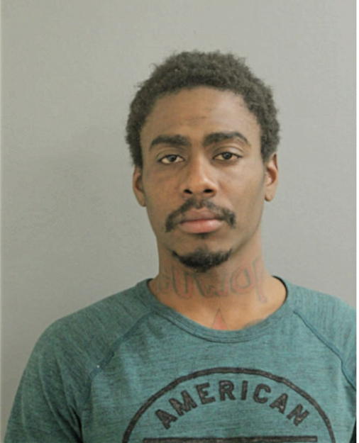 PARIS P DUNNING, Cook County, Illinois