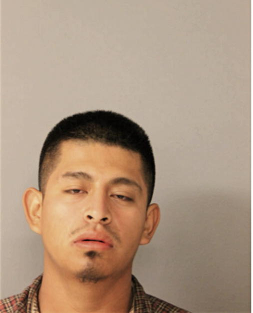 JUAN ELIAS, Cook County, Illinois