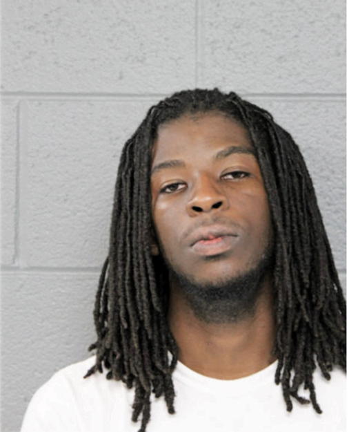 JOVIAN L ELLISON II, Cook County, Illinois