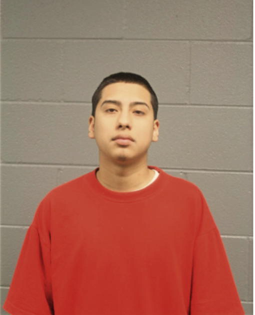 CARLOS E ESPINOZA, Cook County, Illinois
