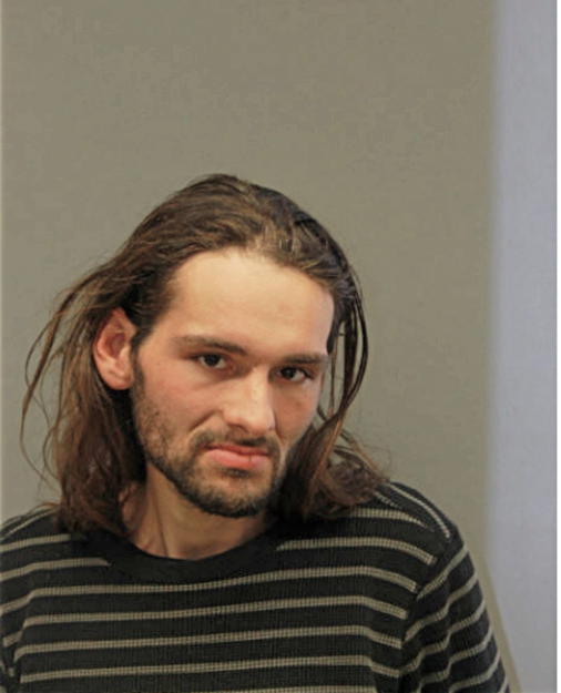 BRIAN G GOSE, Cook County, Illinois