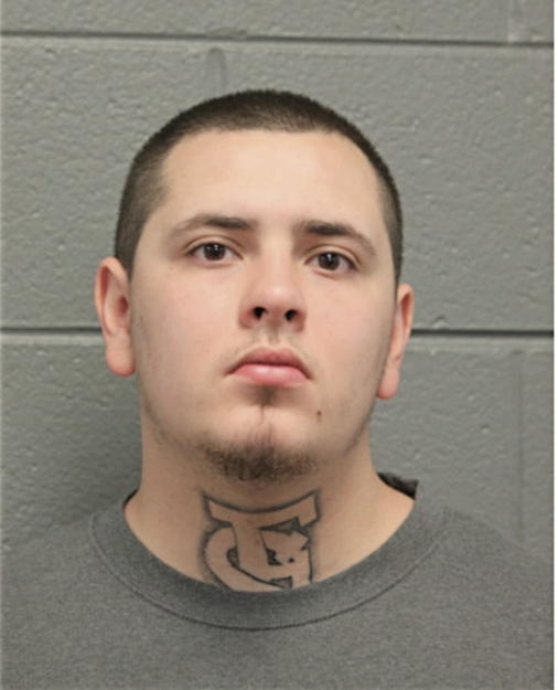 STEVE HEIDDEGGER, Cook County, Illinois