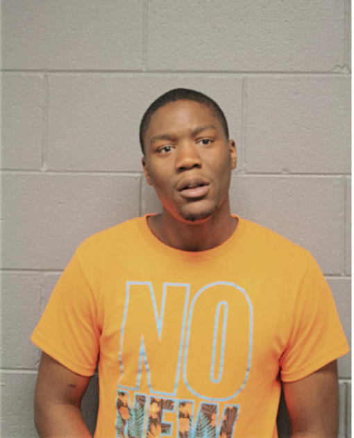 LARRY G HUDSON, Cook County, Illinois