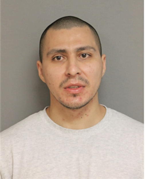 RENE JAIME, Cook County, Illinois