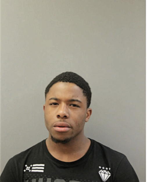 STEVEN JENKINS, Cook County, Illinois